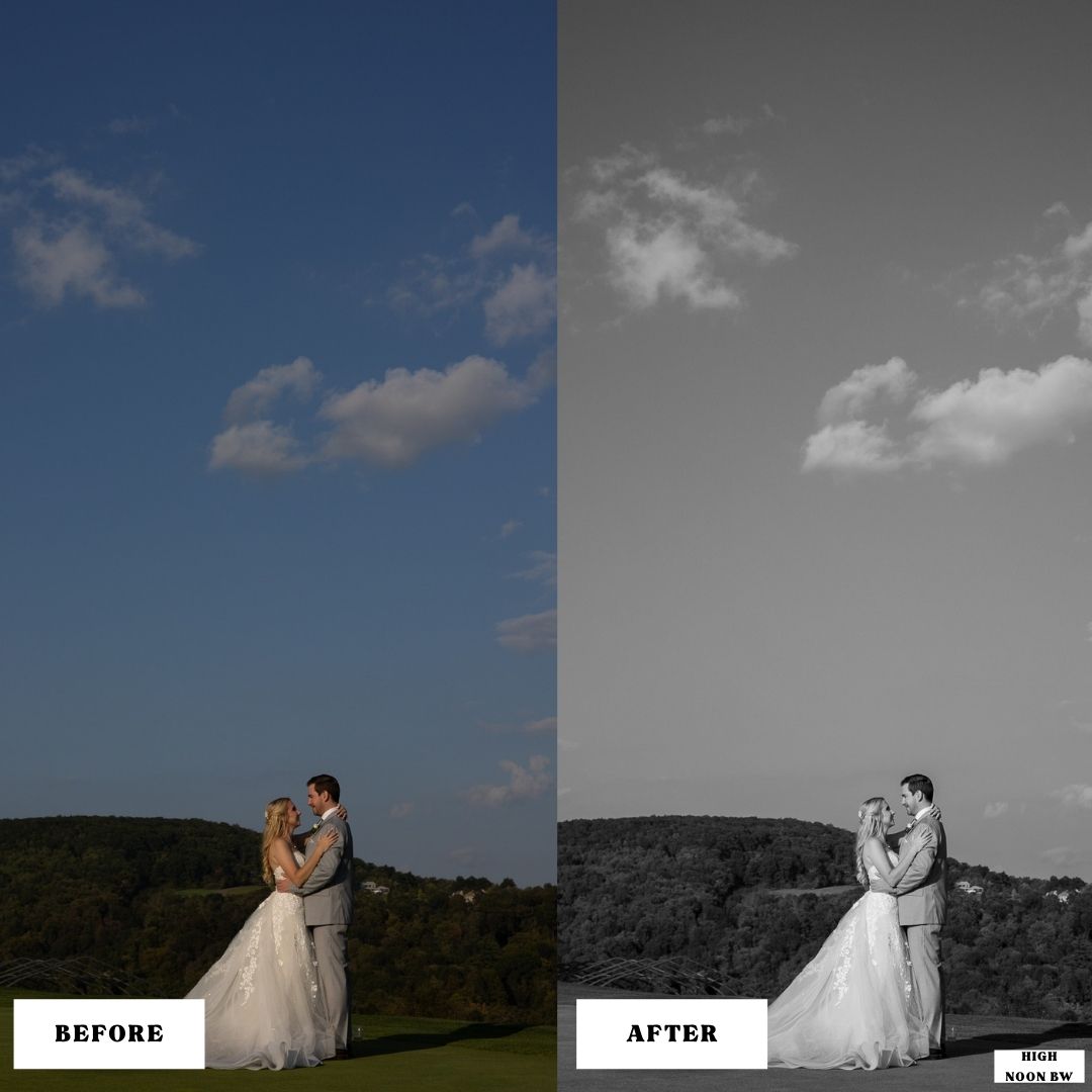 The Colorbloom – Carbon Desktop Preset Collection